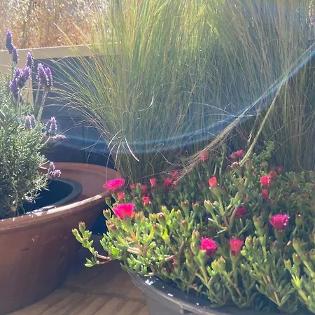 Malhada Do Sao Tavira