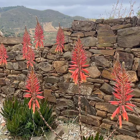 Malhada Do Sao