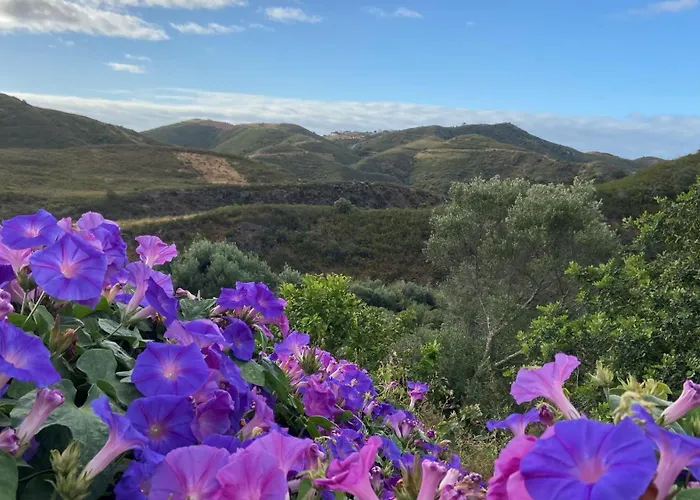 Villa Malhada Do Sao